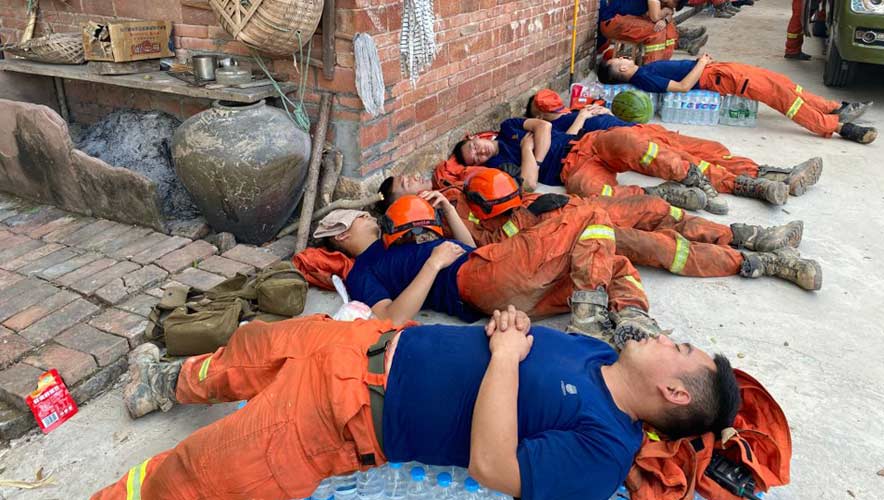 China Breaking News: Animals are dying from searing temperatures